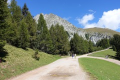 Merano 2000