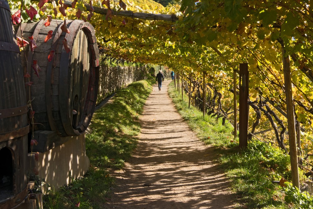 Algunder Waalweg